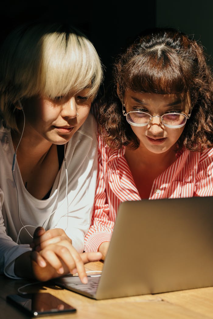 Content girlfriends using laptop together